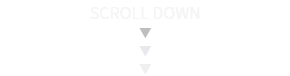 SCROLL DOWN